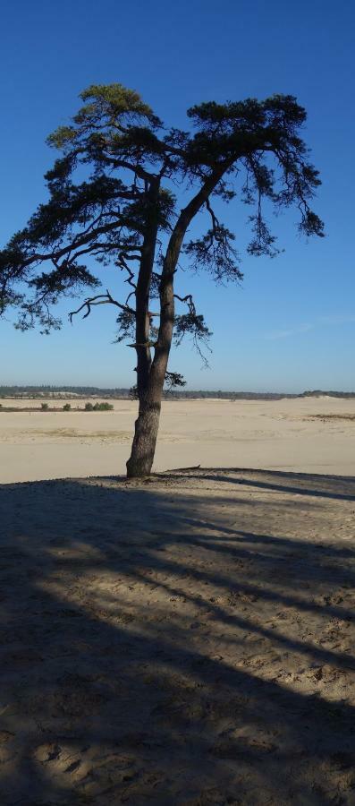 Loon op Zand B&B Achterom المظهر الخارجي الصورة